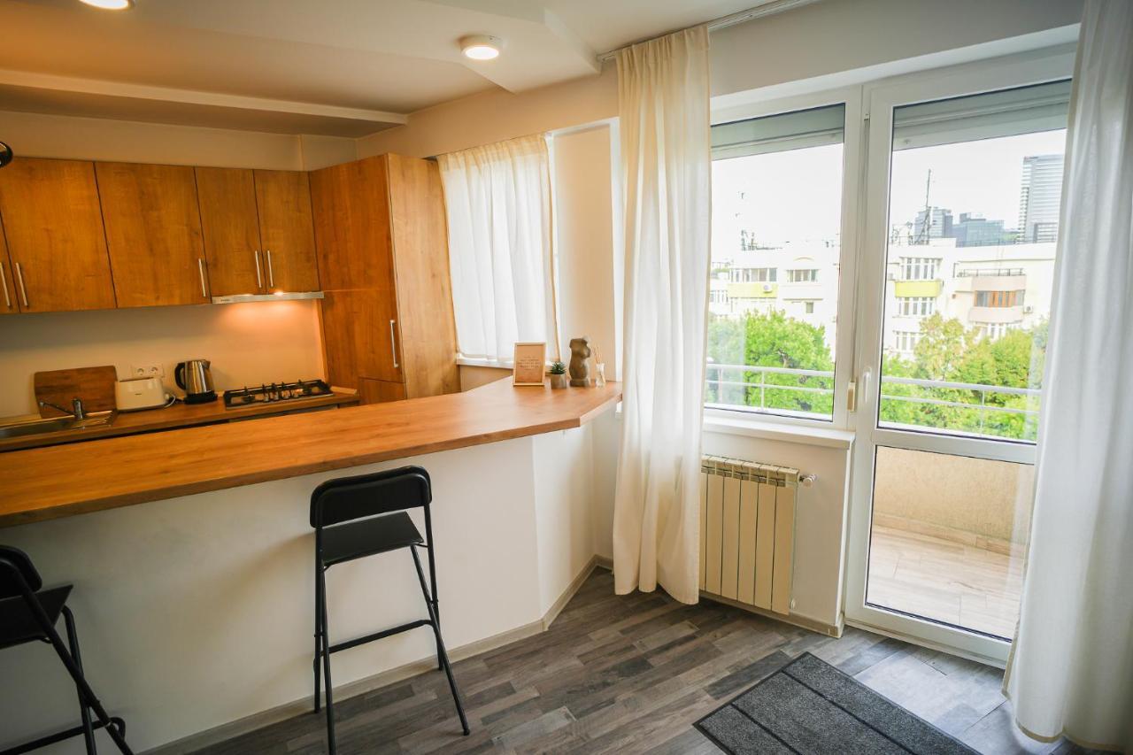 Penthouse With Huge Rooftop & Amazing City View Букурещ Екстериор снимка