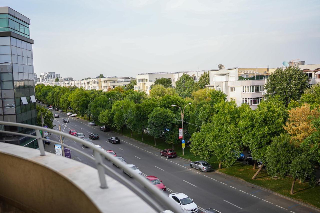 Penthouse With Huge Rooftop & Amazing City View Букурещ Екстериор снимка